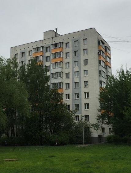 Рыжая кошка