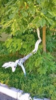 Новороссийск 2019 -  - База отдыха «Меркурий»