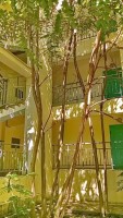Новороссийск 2019 -  - База отдыха «Меркурий»