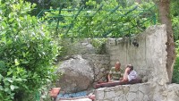 Алупка 2019 -  - Дача «Петровичи»