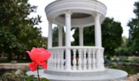 Все санатории - Алушта 2019 - отдых в алуште 2018 цены Алушта 2019 - отдых частный сектор алушты недорого - Все санатории