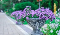 Все санатории - Алушта 2019 - отдых в алуште 2018 частный сектор Алушта 2019 - алушта отдых отели - Все санатории