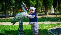  - Алушта - Санатории 2019 - крым алушта отдых 2018 цены гостевые