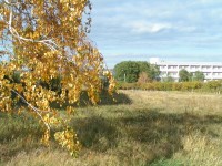 Курорт «Озеро Шира» - Жемчужный 2020 - лучшие гостиницы и отели Жемчужный 2020 - - Курорт «Озеро Шира»