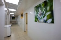 лучшие гостиницы и отели - Белокуриха 2024 Белокуриха 2024 - Лучшие отели 2018