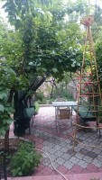 Севастополь 2020 - жилье на длительный срок - Гостевые дома в Севастополе