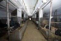 гостиница посуточно - цены - Домодедово 2021 Домодедово недорогие гостиницы и пансионаты - Гостиница «Иерусалимская»