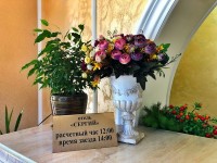 цены на отдых в отелях и гостевых домах - Адлер 2021 Сочи частные гостевые дома и отели на море - Лучшие отели 2019
