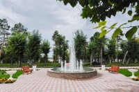 Омская область - Новосибирск - Санатории 2019 - санатории с лечением