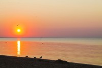 отдых в санатории на море - Береговое 2024 Феодосия 2024 лучший отдых на море - Лучшие гостевые дома