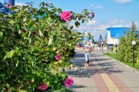 лучшие отели для детей - все включено - Мостовской 2024 Мостовской 2024 отели с питанием для детей - Лучшие базы отдыха