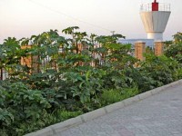 лучшие гостиницы с бассейном - все включено - Черноморское 2024 Черноморское 2024 недорогие отели и гостиницы у моря - Лучшие отели 2022
