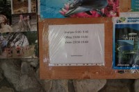 отдых в частном секторе от хозяина - Новомихайловский 2024 Туапсе 2024 отдых с животными в частном секторе - Гостевой дом «Виктория»