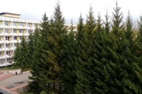 санатории в россии недорого все включено - Набережные Челны 2021 Набережные Челны санатории для похудения в россии недорого отзывы - Санаторий «Жемчужина»