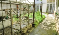 Отдых в Анапе в сентябре частный сектор - Витязево 2024 Анапа 2024 Анапа отдых с детьми все включено недорого - Лучшие отели 2017
