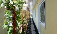 Отель «Кавказская пленница» - Алушта 2024 отдых на море - недорого Алушта 2024 - Отель «Кавказская пленница»