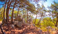 Ялта отдых море
