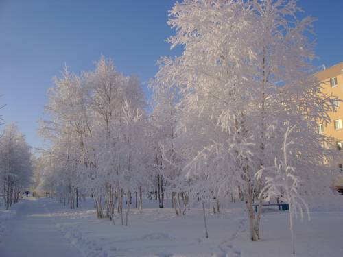 Зимняя аллея