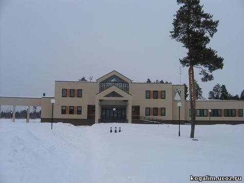 ЗАГС зимой