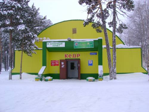 Кедр