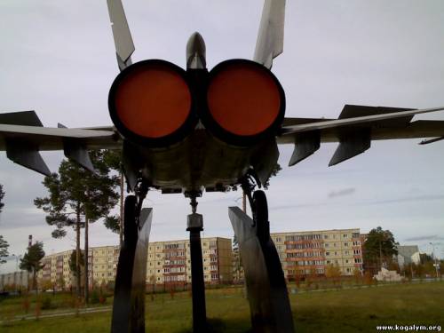 Мига задок