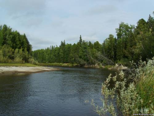 Река
