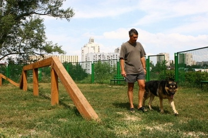 коап выгул собак