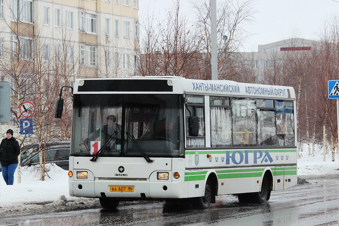 В Югре запретили мигрантам работать водителями